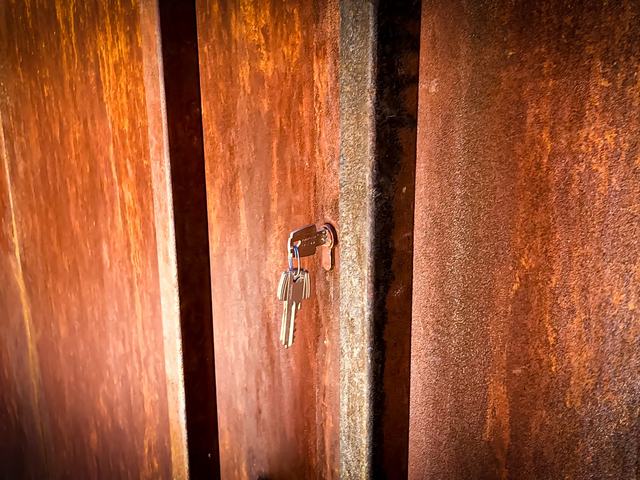 Detalle de la textura oxidada de una puerta de acero corten